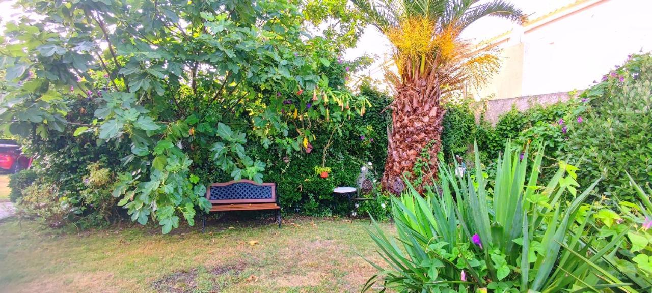 Pisos Vistalegre 2A Con Jardin Tranquilos Cerca Del Mar Sanxenxo Exteriör bild